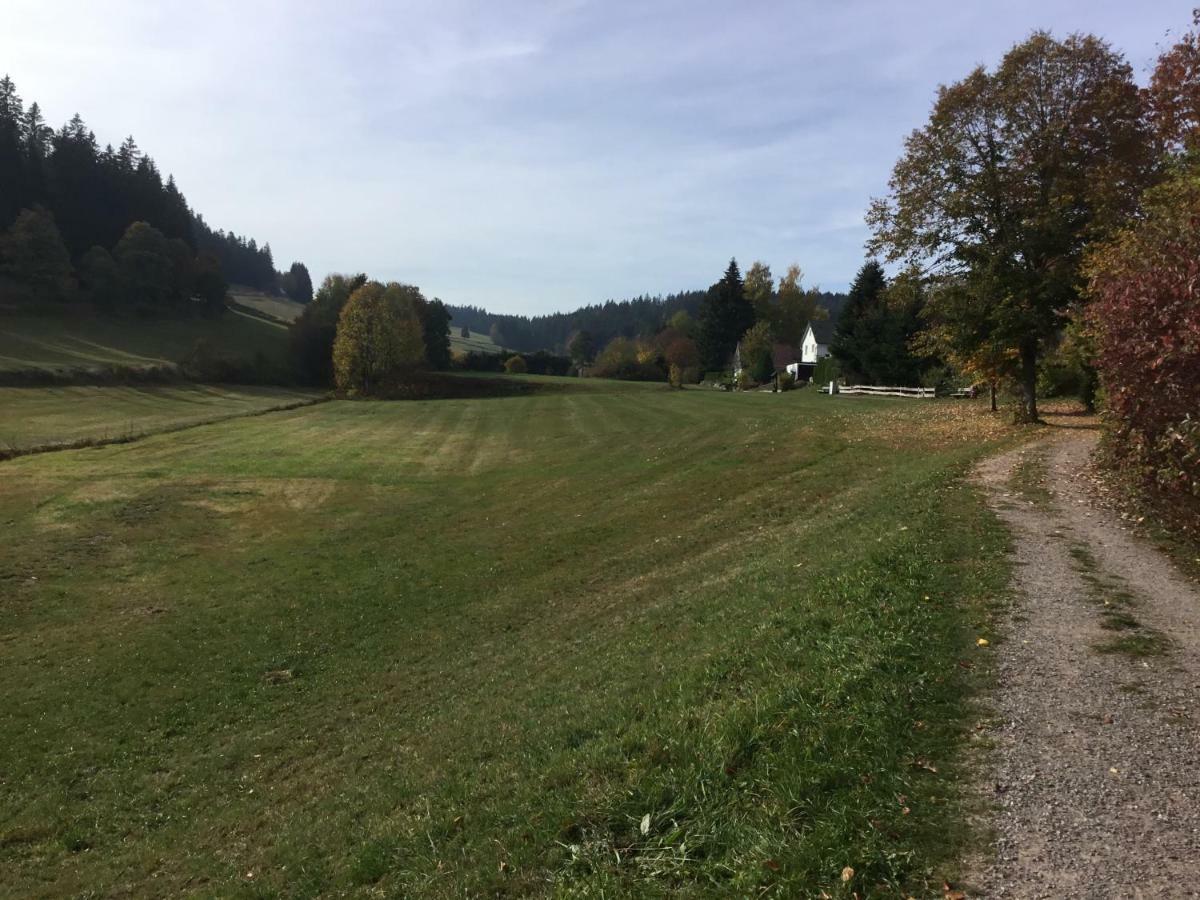 Gemuetliche 1Z Fewo In Schoenwald Mit Balkon, Schwimmbad, Sauna, Fitness Buitenkant foto