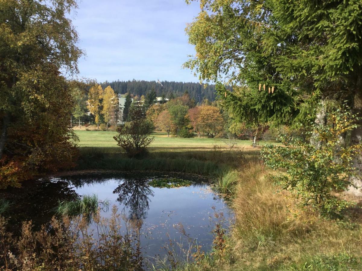 Gemuetliche 1Z Fewo In Schoenwald Mit Balkon, Schwimmbad, Sauna, Fitness Buitenkant foto
